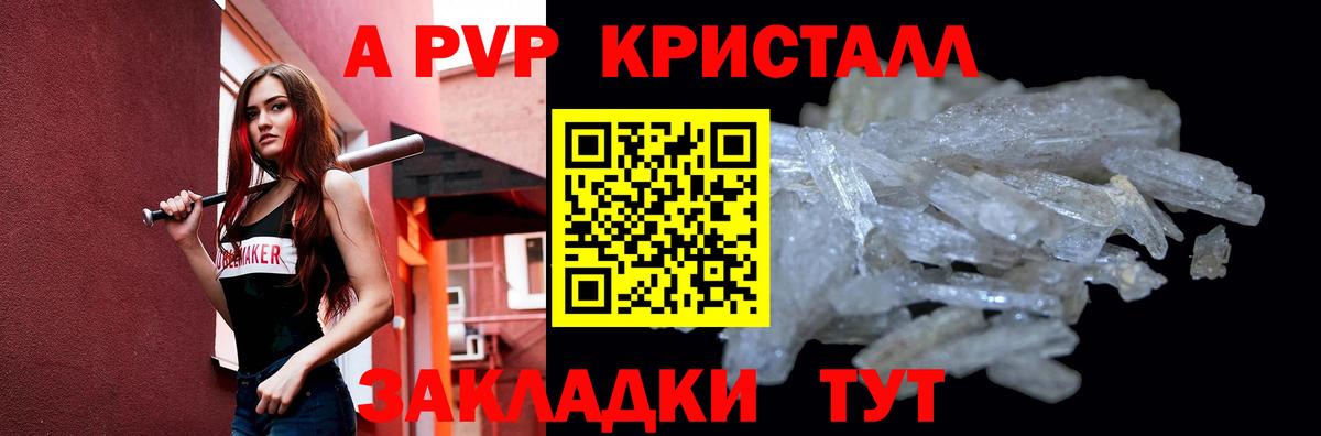 МЕФ Гатчина