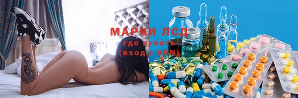 прущие грибы Богородицк