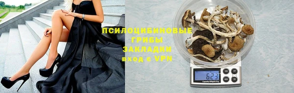 прущие грибы Богородицк