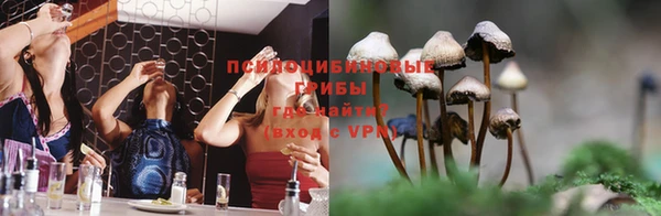 мескалин Богданович