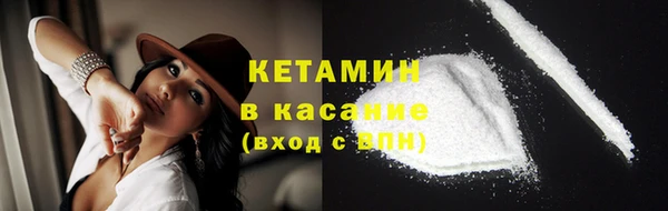 прущие грибы Богородицк