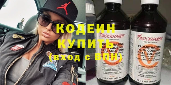 прущие грибы Богородицк