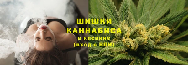 дурь Бронницы