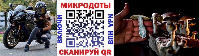 купить наркоту Гатчина Псилоцибиновые грибы Magic Shrooms