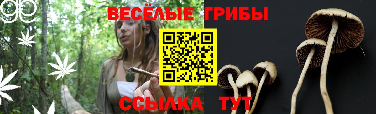Галлюциногенные грибы ЛСД Гатчина